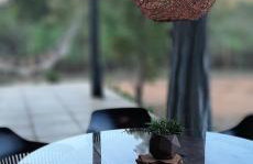 Chalé Container Terracota - Foto 12