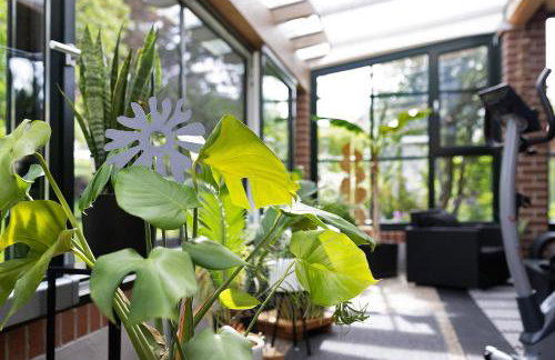 Wiesenblume - Foto 18