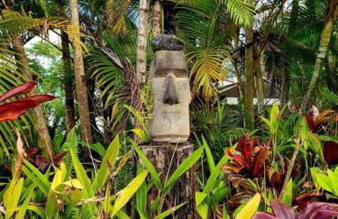 Unique Lava House by steaming crater - Photo 46