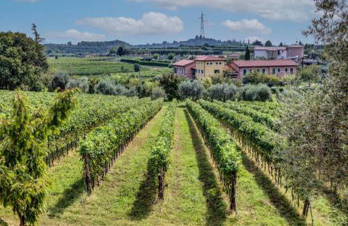 Tenuta di Palù - Foto 59