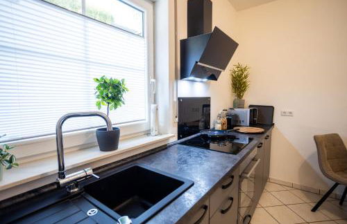 Panorama am Fluss - Traum Quartier Apartments - Foto 5