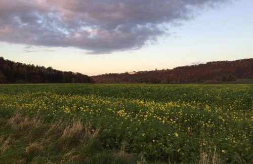 Ferienwohnung Denecke - Foto 15