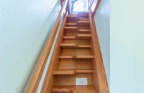 Strandläufer - Foto 22