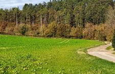 Studette avec terrasse Comme à la maison - Foto 21
