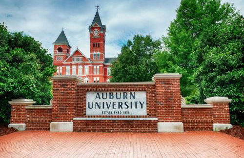 Vibrant Living Near Auburn University l 4BR 4BA - Foto 21