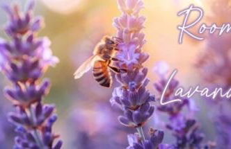 Agriturismo Terre Rosse Portofino - Foto 15