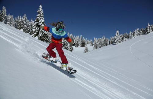 Chalet Laila - Foto 14