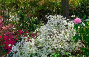 Villa Col di Luna-ProseccoHills - Foto 82