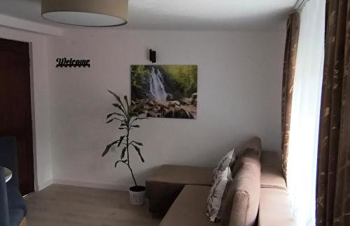 Apartament Palmowy Harnaś - Foto 14