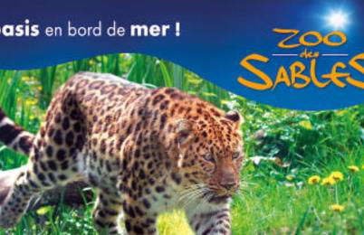 Remblai des Sables d'Olonne - 2 chambres - parking et piscine - Photo 28