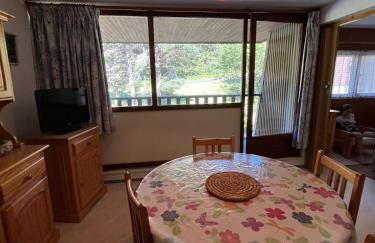 Loue appartement au Mont Dore AUVERGNE - Foto 1