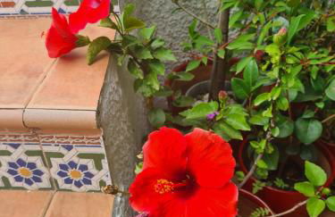 Casa Tropical, serene poolside retreat in nature - Foto 42