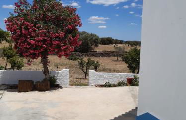 Casa da Cerca - Foto 26