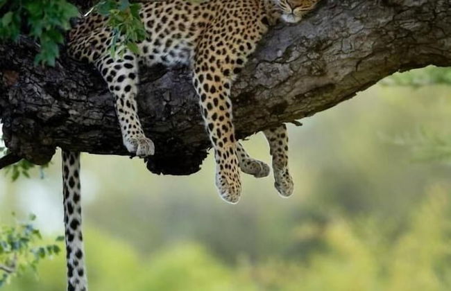 Ukanyi Luxury Villa - Foto 21