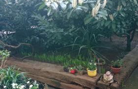 Down-Town-Oasis - Foto 17