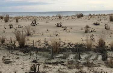 Brant Beach Ocean Front Duplex Second Floor Pet Friendly Wifi Beach Badges 4 Deck Wd Three Bedrooms And 15 Baths Sleeps 10 Off - Foto 11