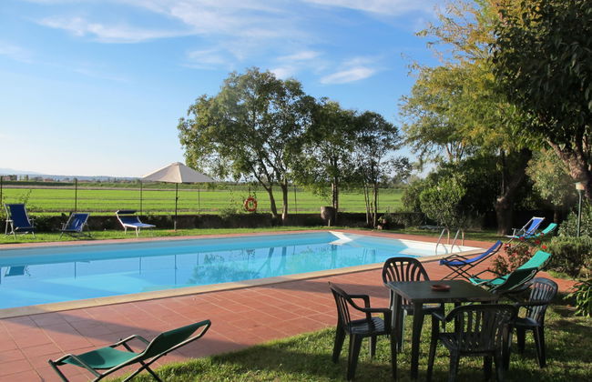 Scaletta + GIrasole - Foto 64