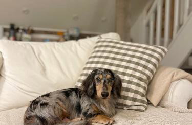 Oak Tree Hideaway - Foto 56