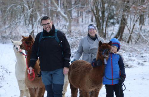 Schauerhof - Photo 17