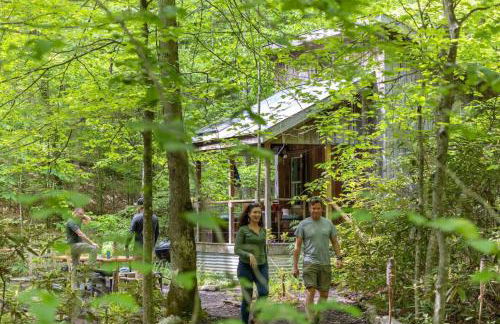 Beech Timber- 30 Acre Secluded Glamping in RRG - Foto 7