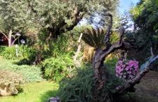 Villa Lidia - Foto 9