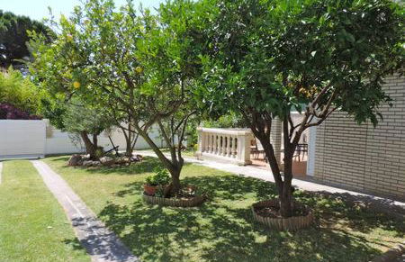 Homing Cambrils 23 - Foto 1