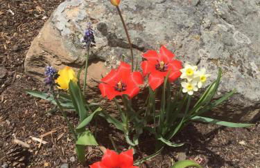 Built In 2007, This Deluxe 3-Story Solar Condo Offers The Best Of Bozeman! - Foto 28