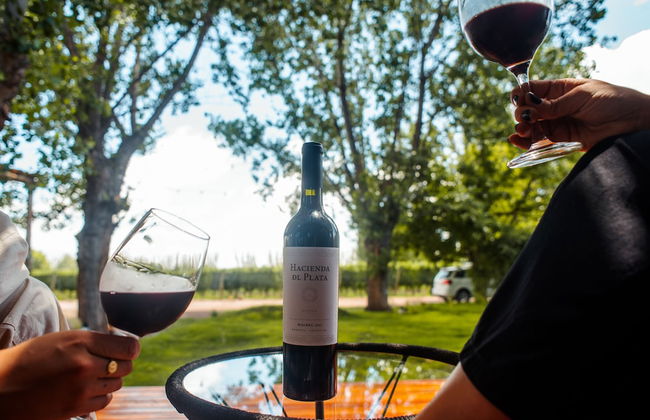 Lodwine Lodges - Foto 17