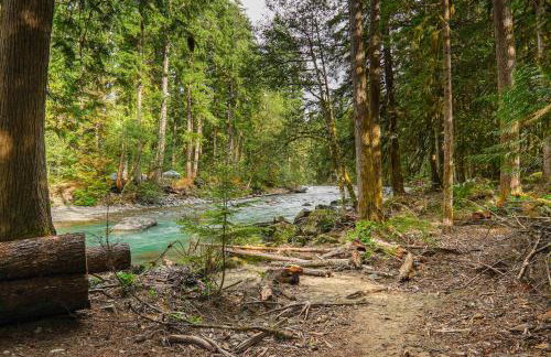 Mt Baker Den, Sleeps 4 - Foto 26