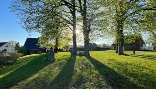 Wieckblick Krummin 17b - Foto 3, Garden