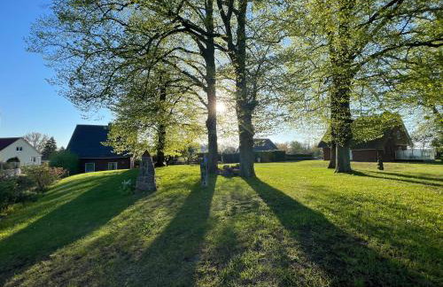 Wieckblick Krummin 17b - Foto 3