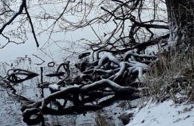 Appartements am Schaalsee - Foto 35