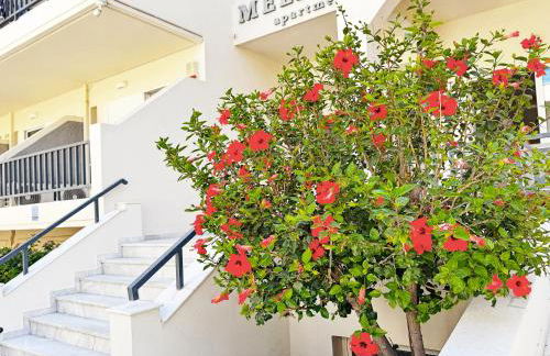 Melitti Hotel - Photo 8