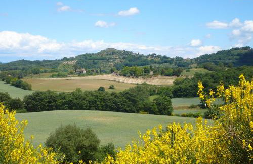 Podere Sionne - Foto 48