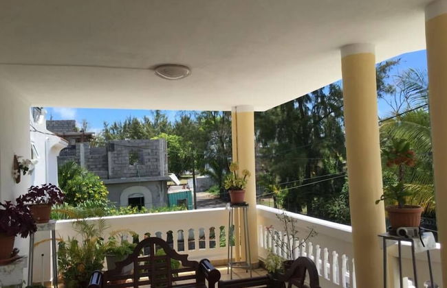 Faisan Dore - Photo 15