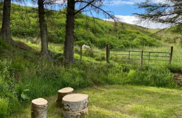 Lagnakeil Highland Lodges - Foto 14