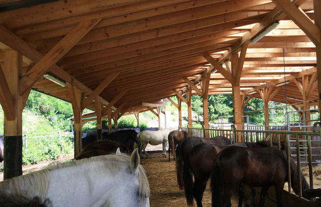 Detached Wooden Chalet in Liebenfels / Carinthia Near the Simonhohe ski Area - Foto 36