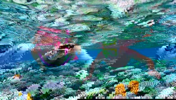 Explorando el fondo marino