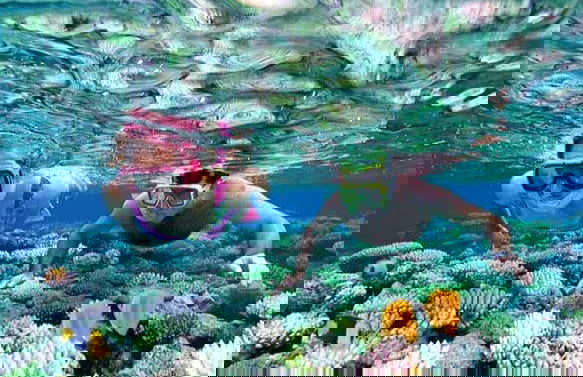 Snorkeling a Unawatuna - Foto 4