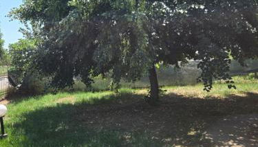 Villa Residenz Sofia1 - Foto 2