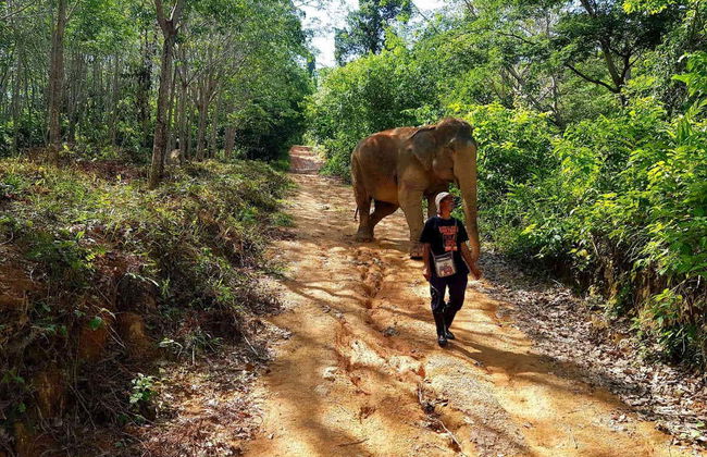 Excursión al Jungle Elephant Sanctuary - Foto 3