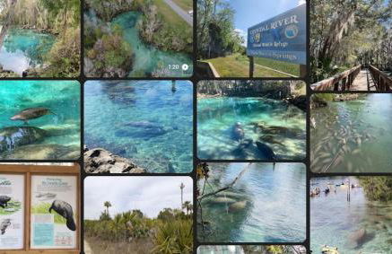 3 Bed 2 Bath Inverness home - Close to all the springs & rivers - Pet friendly - Foto 24