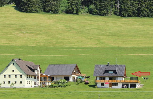 Forgetful the big one - Foto 18