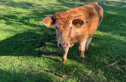 Agriturismo Corte Bonetti - Foto 29