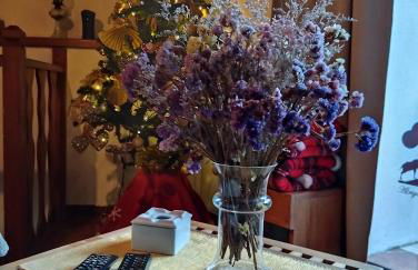 ABRIGO DO CABECINHO - SERRA DA ESTRELA - Foto 30