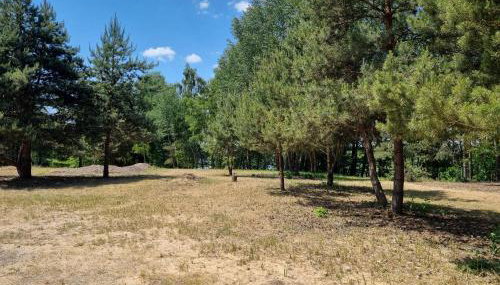 Ostoja - Foto 4, Garden view