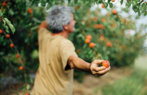 Agriturismo Il Querciolo - Photo 6