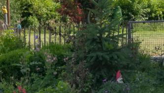 Apartment Im Grünen by Interhome - Foto 3