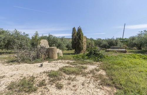 Mas de l' Anneta - Foto 24