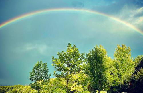 Domaine de Cazal - Gîte 4 pers avec piscine au cœur de 26 hectares de nature préservée - Foto 40